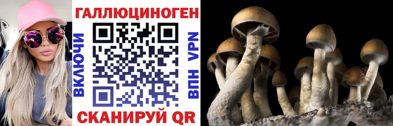Галлюциногенные грибы ЛСД  Озёры 